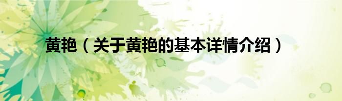 黄艳（关于黄艳的基本详情介绍）