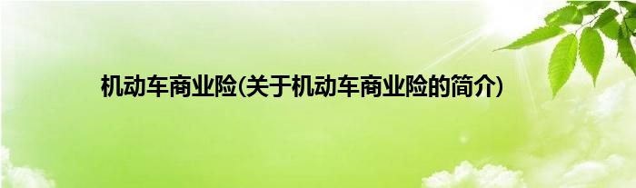 机动车商业险(关于机动车商业险的简介)