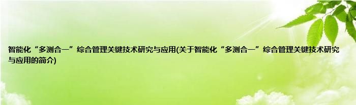 智能化“多测合一”综合管理关键技术研究与应用(关于智能化“多测合一”综合管理关键技术研究与应用的简介)