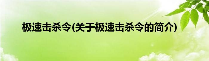 极速击杀令(关于极速击杀令的简介)