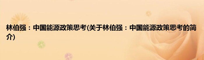 林伯强：中国能源政策思考(关于林伯强：中国能源政策思考的简介)