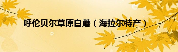 呼伦贝尔草原白蘑（海拉尔特产）