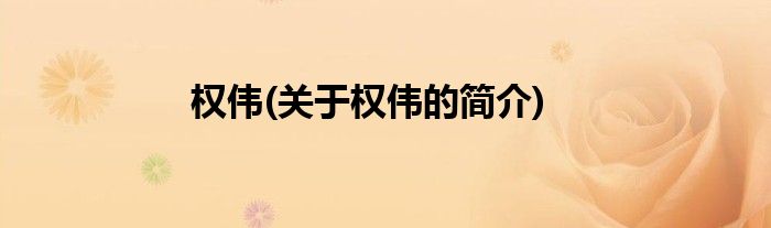 权伟(关于权伟的简介)